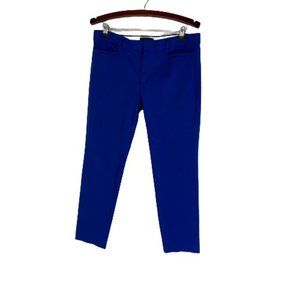 Banana Republic Sloan Skinny Pants Blue Size 12